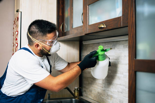 Best Affordable Pest Control Services  in Coral Terrace, FL
