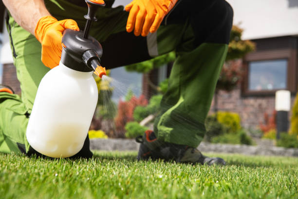 Best Commercial Pest Control Services  in Coral Terrace, FL