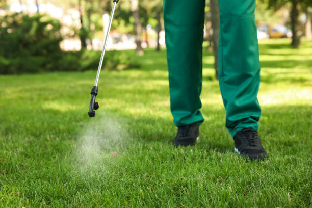 Best Pest Removal Services  in Coral Terrace, FL