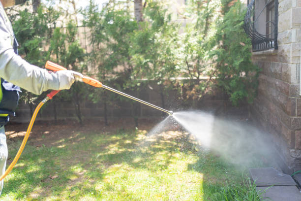 Best Spider Control Near Me  in Coral Terrace, FL