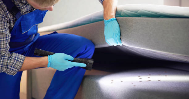 Wasp Removal Services in Coral Terrace, FL