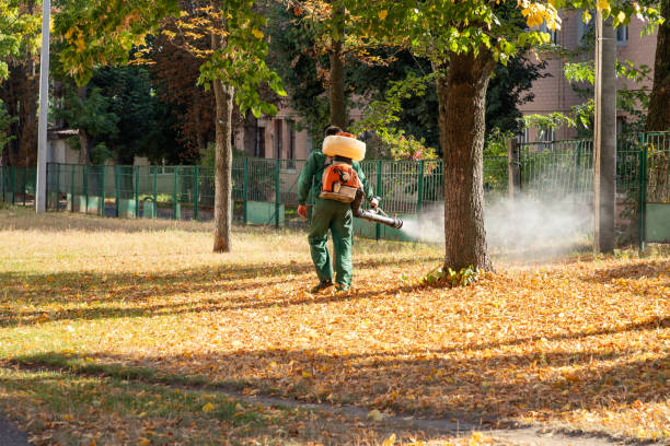 Best Insect Control  in Coral Terrace, FL