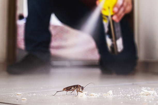 Best Best Pest Control Companies  in Coral Terrace, FL